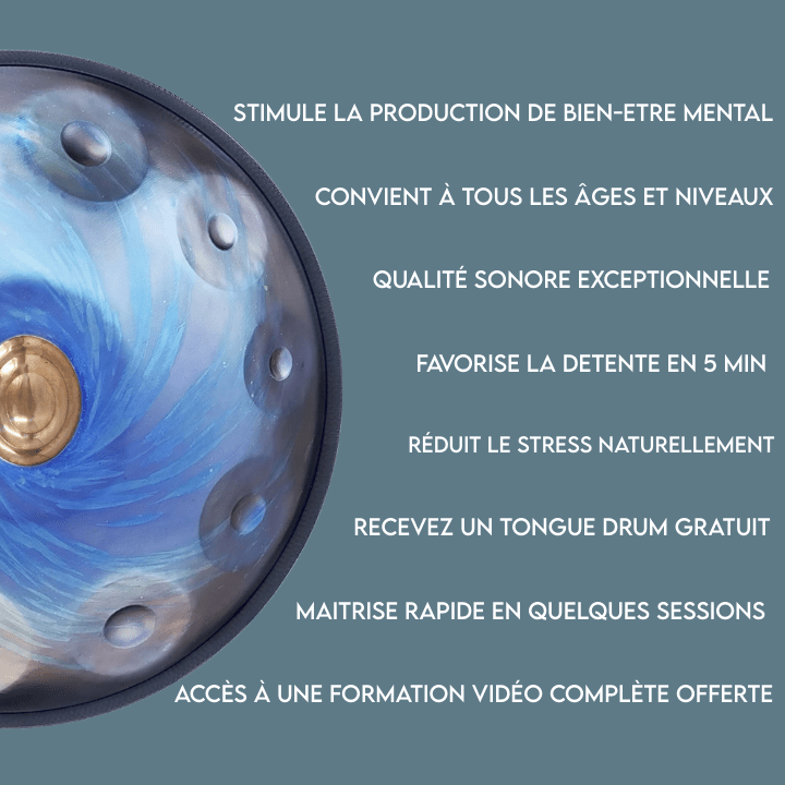 Handpan 10/12 notes Ré mineur Kurd - Pandrum