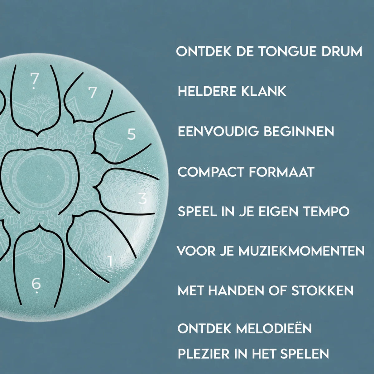 Tongue Drum | Tank Drum 11 notes - Sol majeur - Pandrum