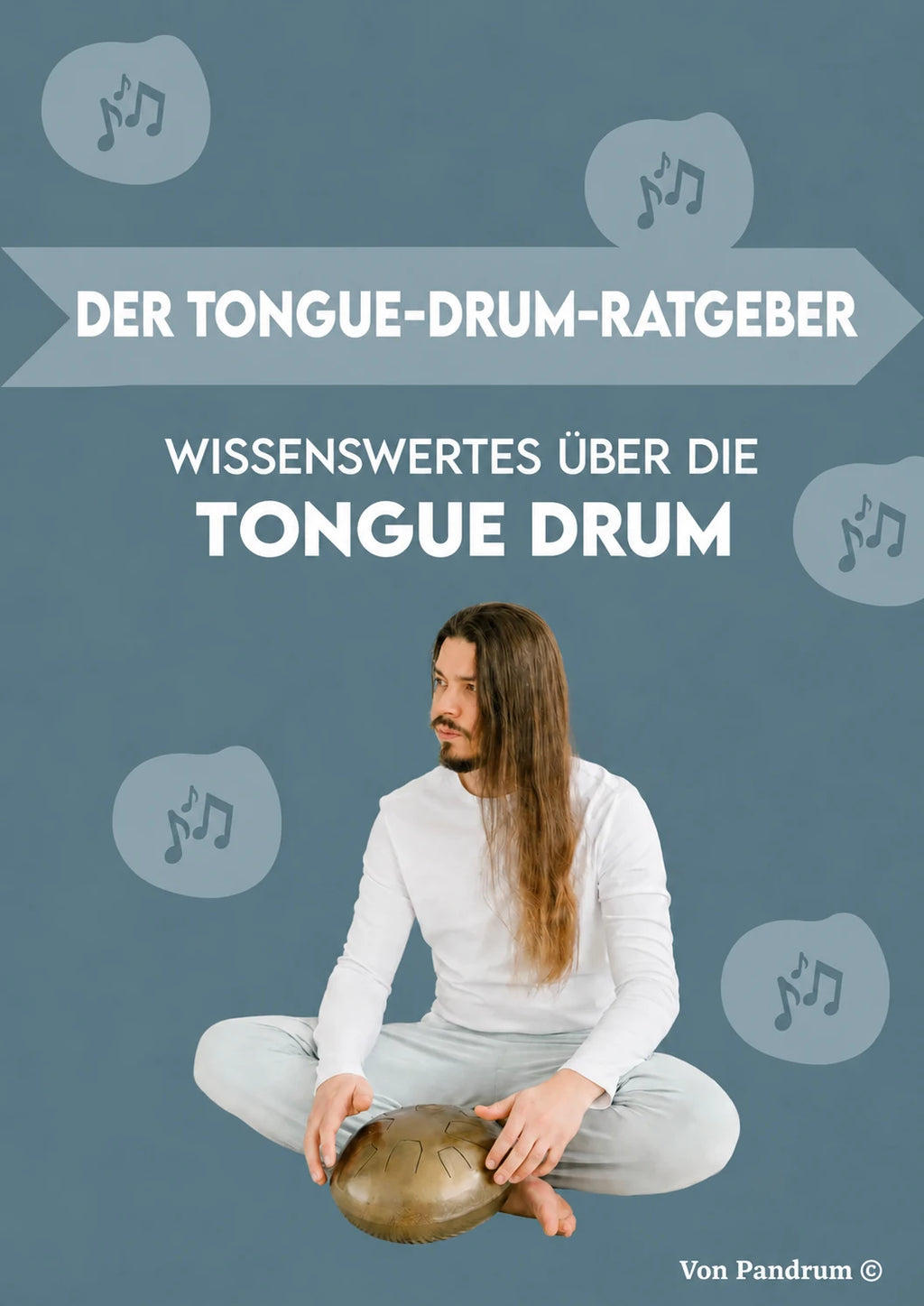 Formation vidéo Tongue Drum - Pandrum
