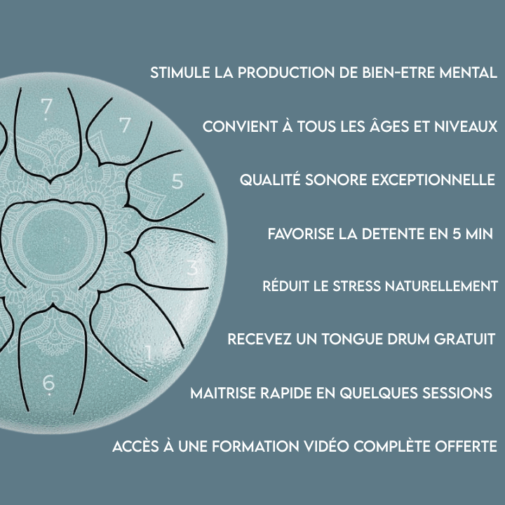 Tongue Drum | Tank Drum 11 notes - Sol majeur - Pandrum