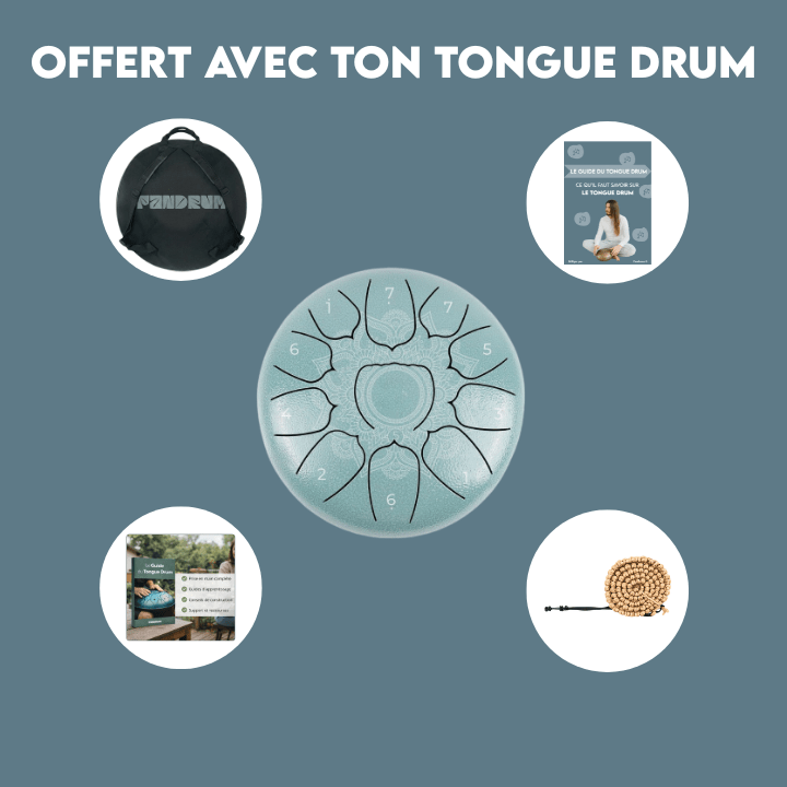 Tongue Drum | Tank Drum 11 notes - Sol majeur - Pandrum