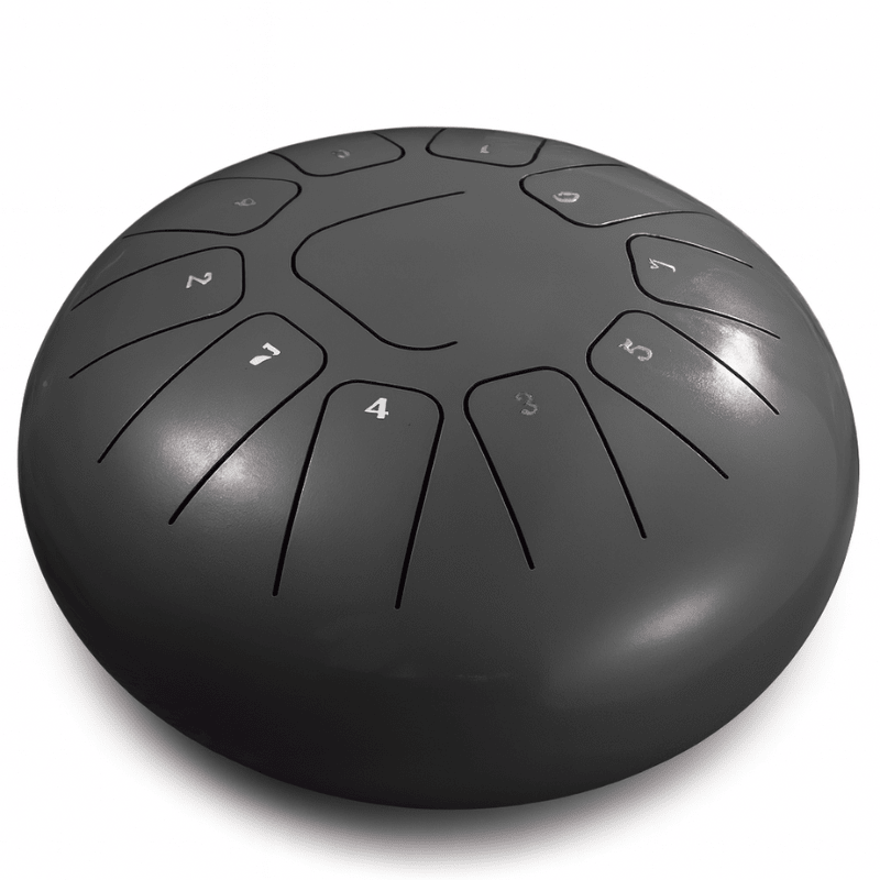 Tongue Drum | Tank Drum 11 notes - Pandrum