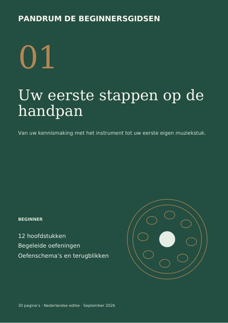 Pandrum-beginnersgids: je eerste stappen met een handpan